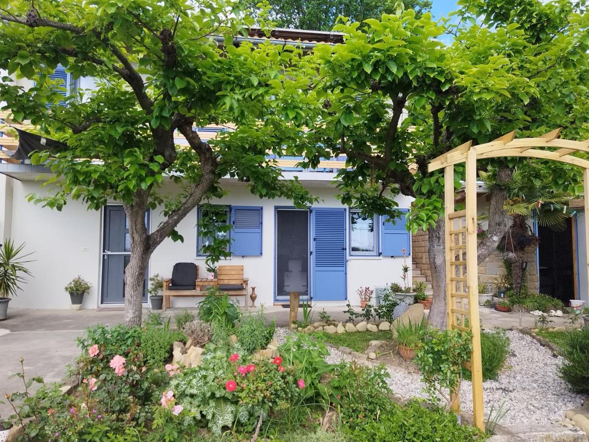 Apartma Salvia-Guest House Lucija Exterior photo