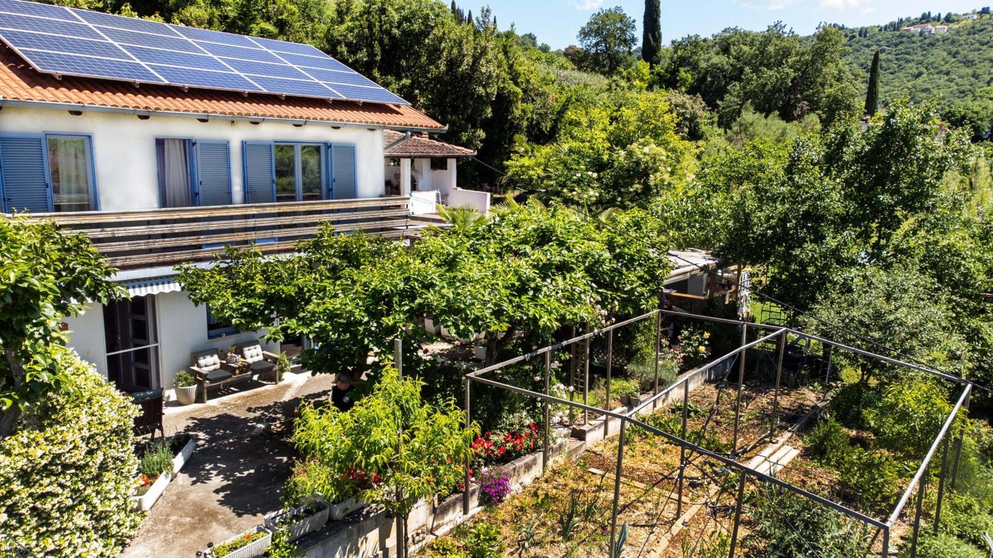 Apartma Salvia-Guest House Lucija Exterior photo